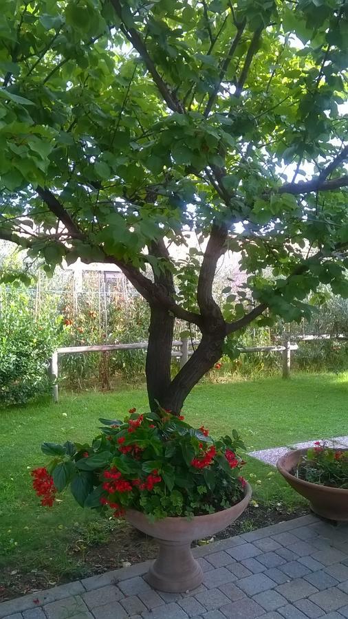 비아레지오 Nonna Alda B&B 객실 사진
